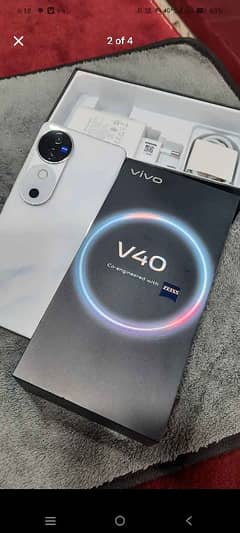 vivo