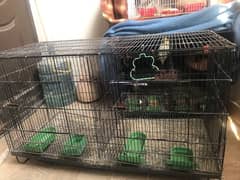 Folding cage For Birds /Cats / Puppies