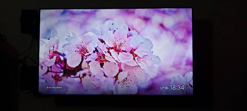 TCL 43" inch Model P735 0