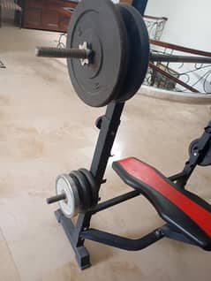 complete and weight machine 16 plate