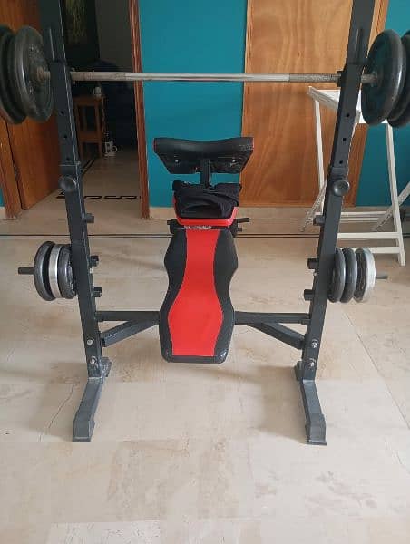 complete and weight machine 16 plate 1