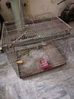 3 Cages Available