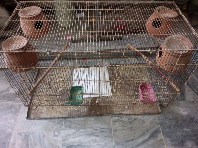 3 Cages Available 2