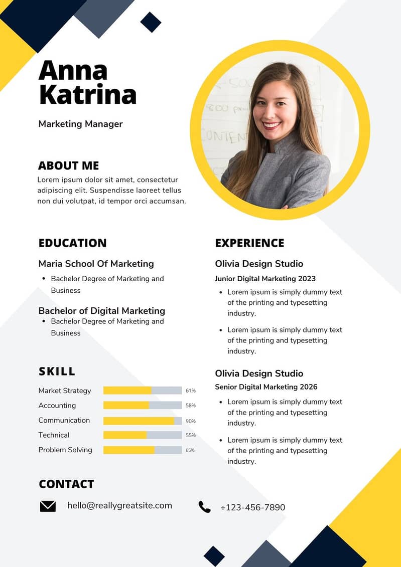 Professional CV Maker 2