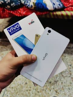 Vivo