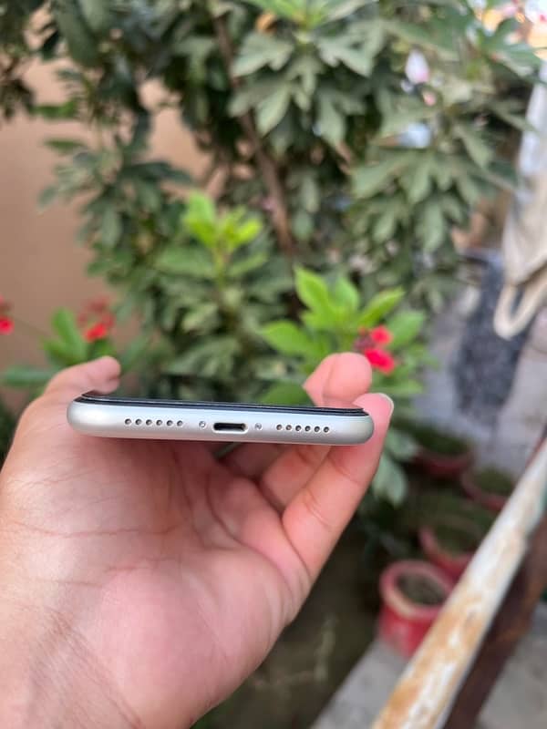 iphone 11 pta approved 4