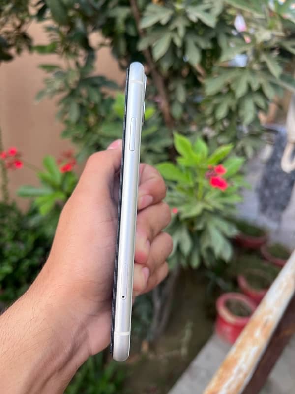 iphone 11 pta approved 5