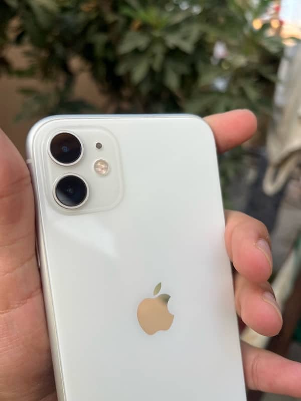 iphone 11 pta approved 6