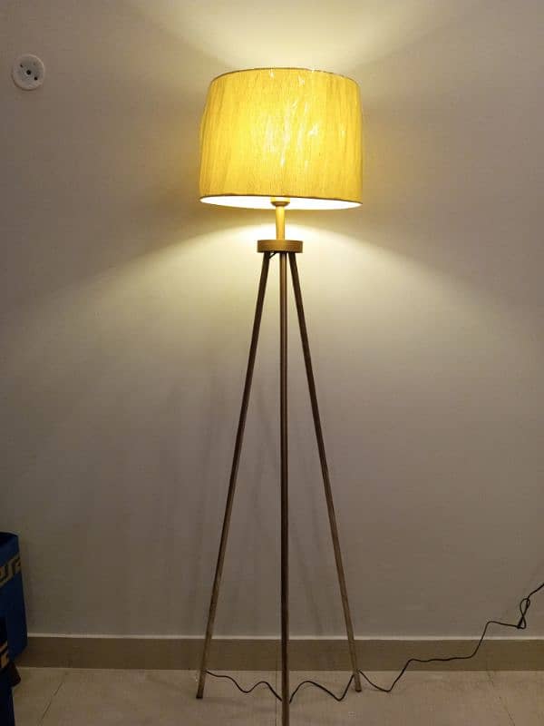 Metal floor lamp 1