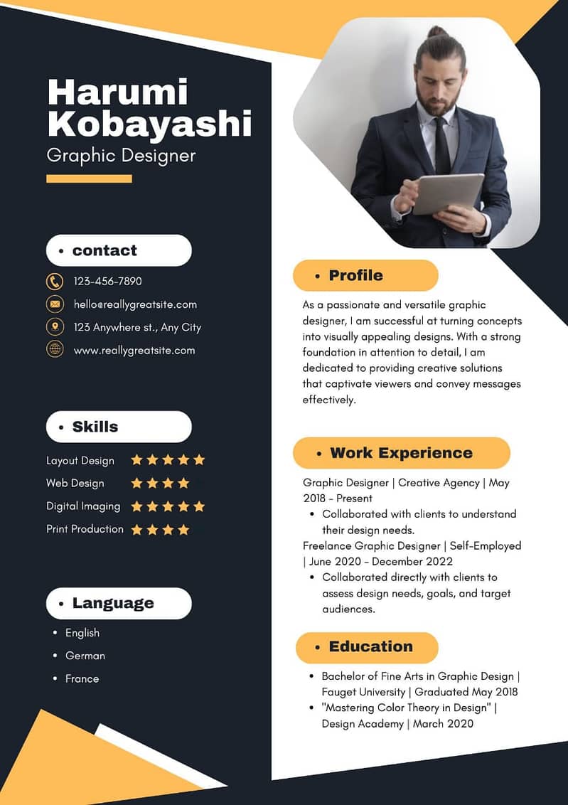 cv professional 2