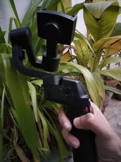 gimbal