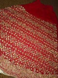 bridal lehnga red and skin. color