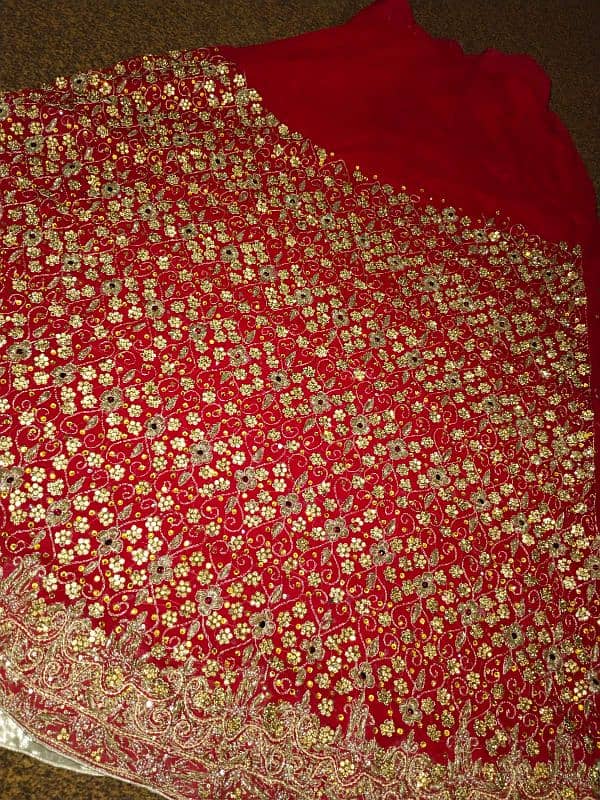 bridal lehnga red and skin. color 0