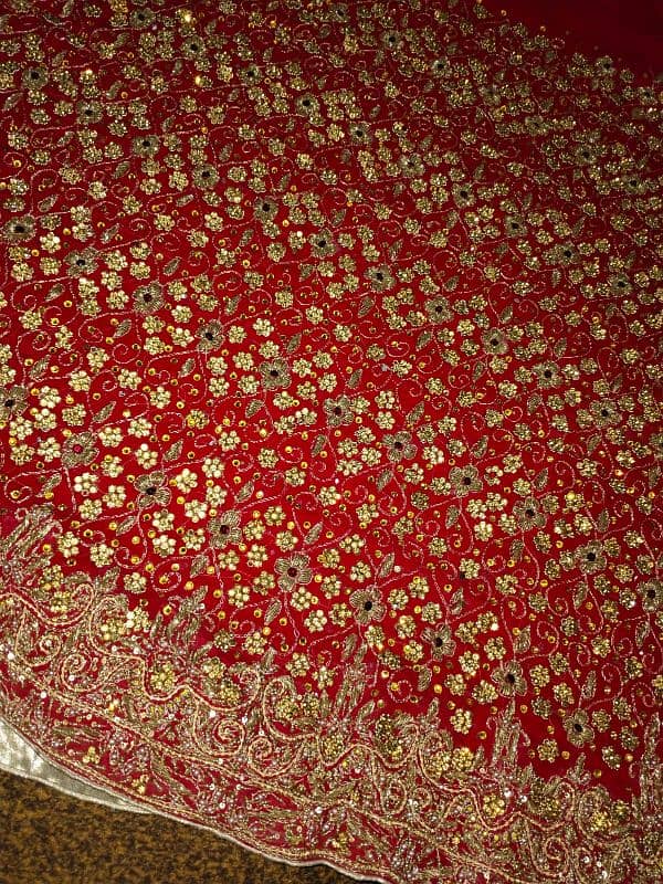 bridal lehnga red and skin. color 1