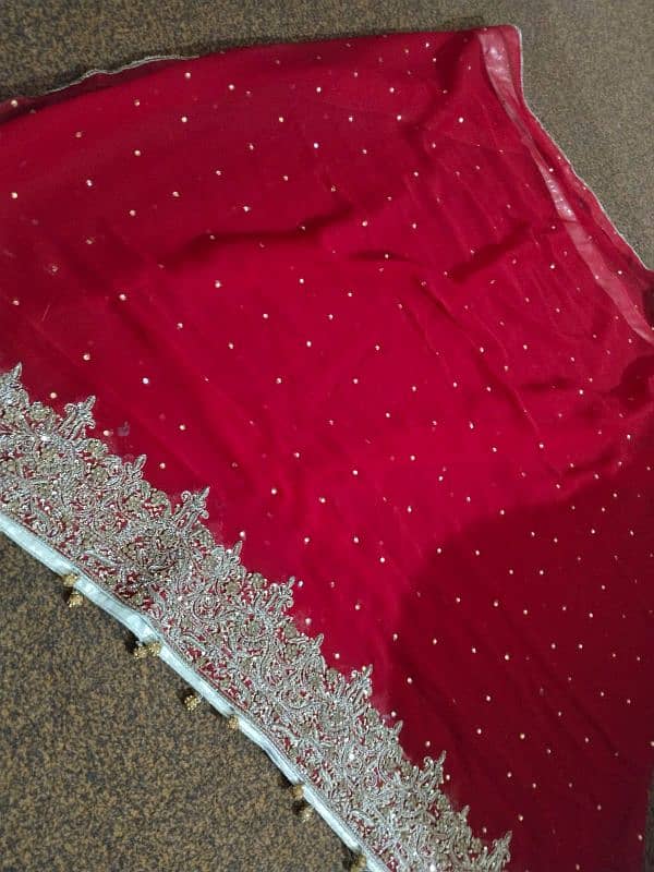 bridal lehnga red and skin. color 3