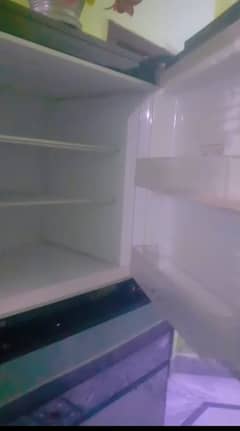 Pel Fridge For Sell