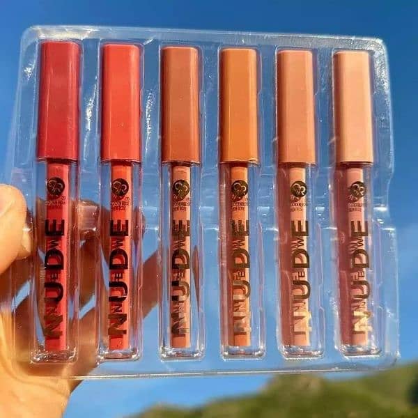 High pigmented Matte finish lip Gloss 6-pice 0