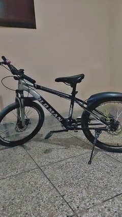 Mountain Bicycle (imported)