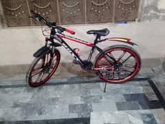 2 bicycles Roxy and SK Bikes for sale