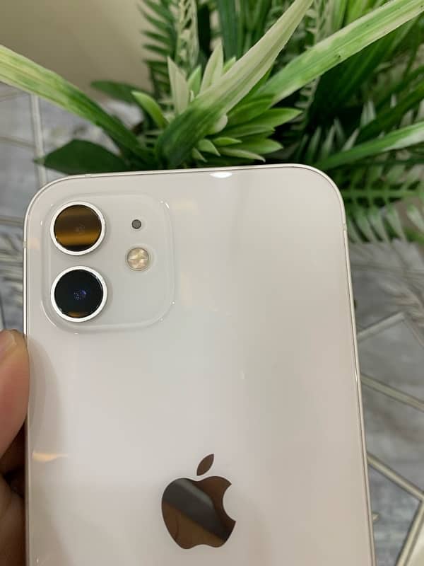 iphone 12 128gb non pta 1