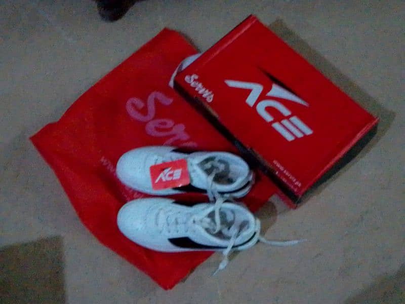 original Ace service shoes for boys 4