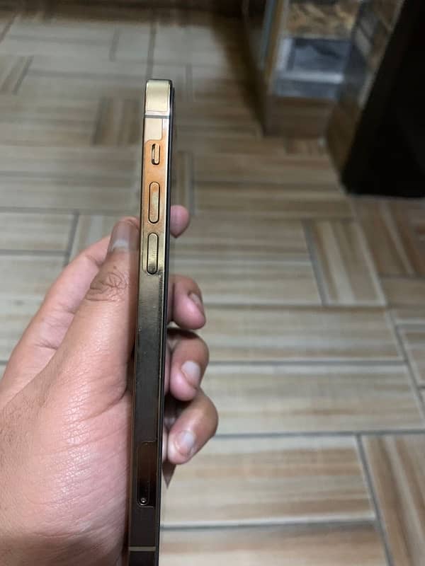 iPhone 12 Pro pta 0