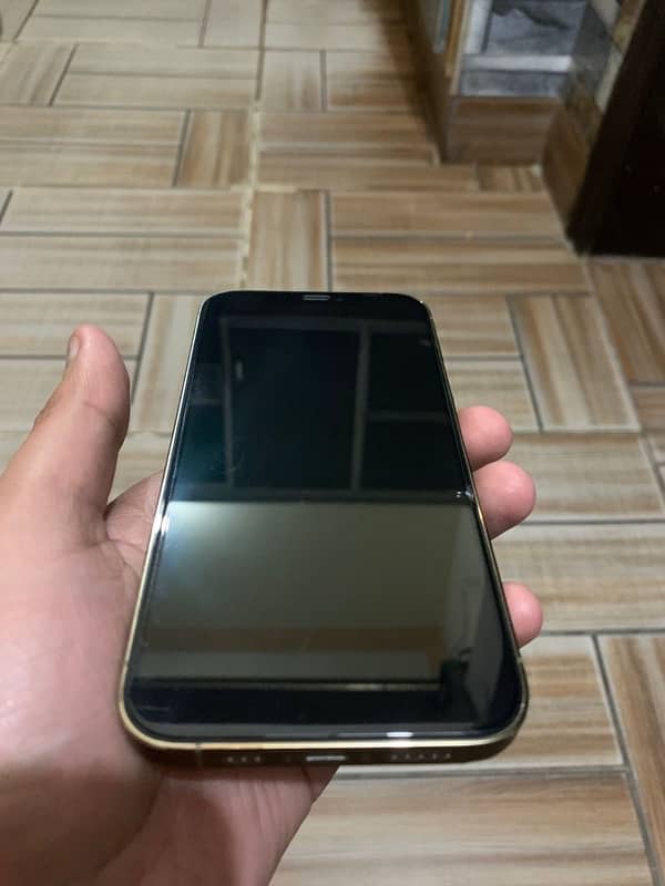 iPhone 12 Pro pta 1