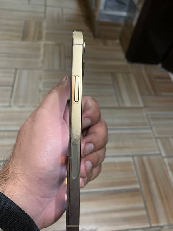 iPhone 12 Pro pta 2