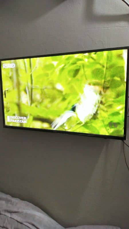 Haier LED 42 inch simple 1