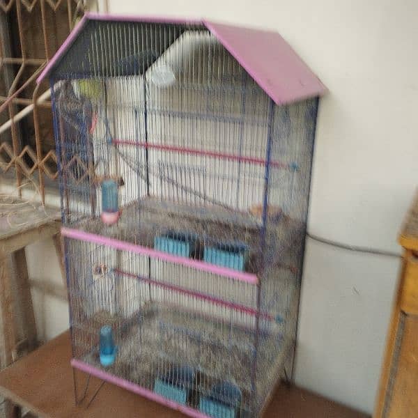 Cage 2 portion for sale 2