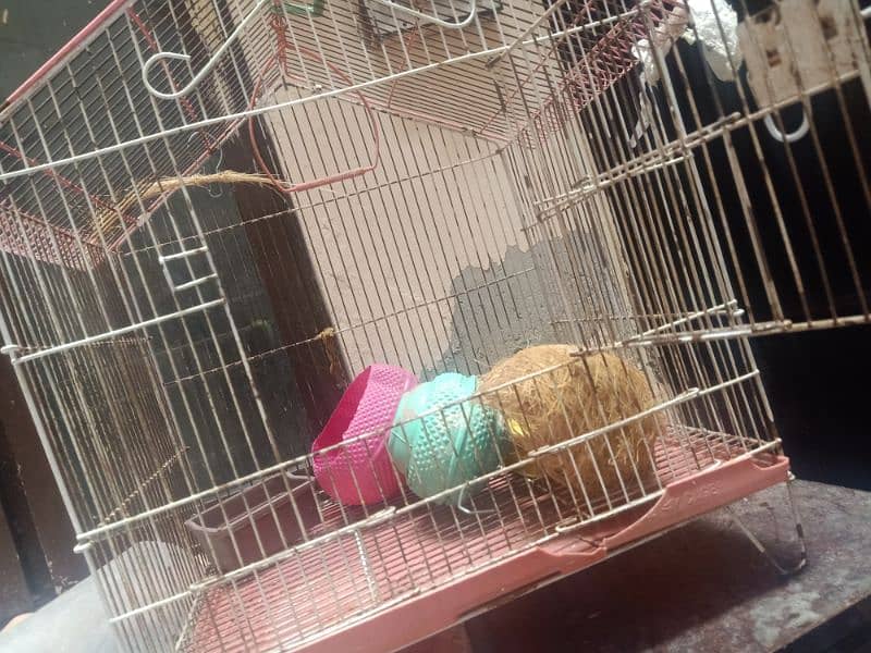 parrot cage 0