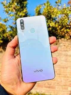 vivo