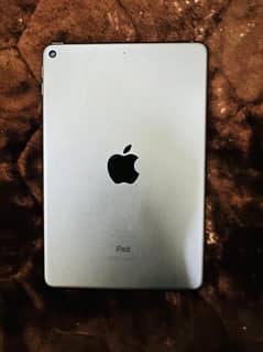 iPad Mini 5 256GB