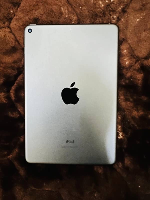 iPad Mini 5 256GB 0