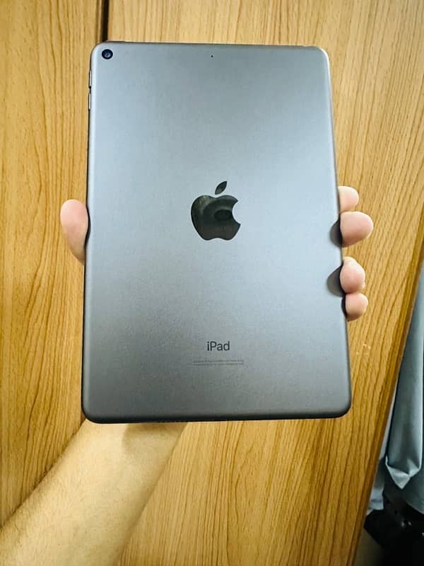 iPad Mini 5 256GB 1