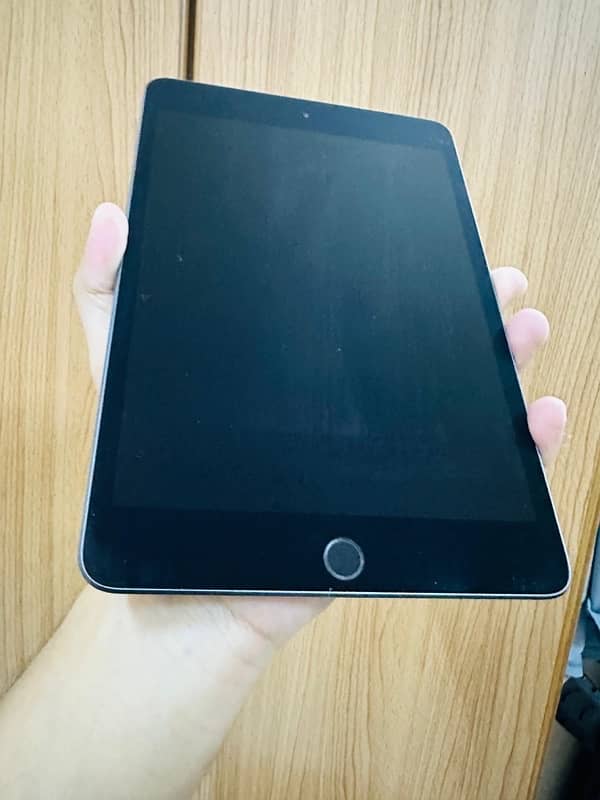 iPad Mini 5 256GB 2