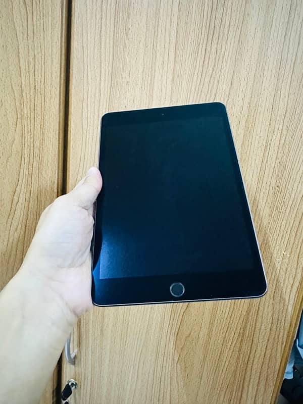 iPad Mini 5 256GB 3