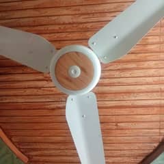 celling fan Lahore Fan brand Ravian