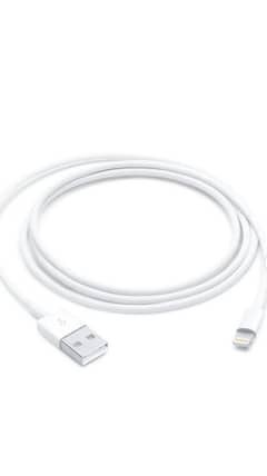 iPhone cable