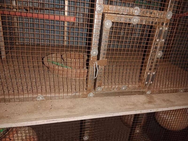 parrots cage 1