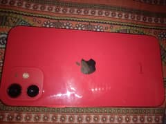 iphone 12 red colour