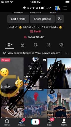 TikTok views , share , favourites and comments are available