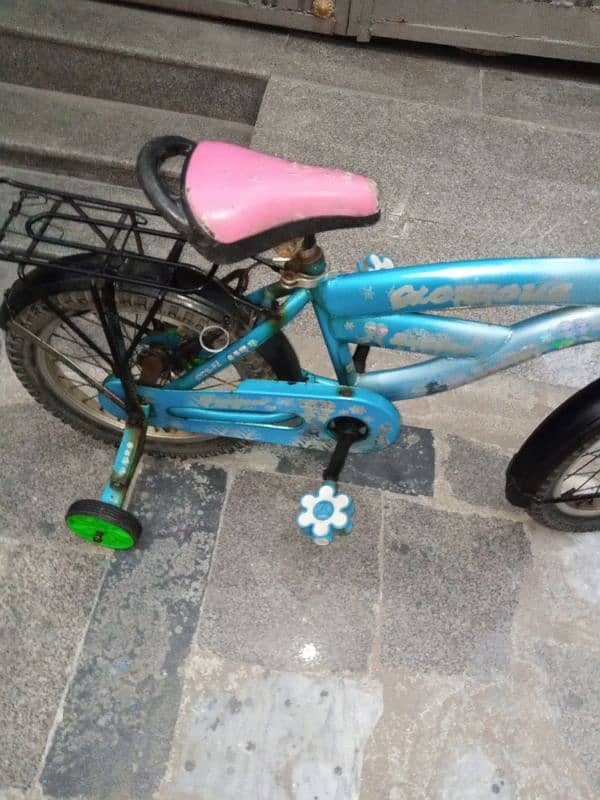 Girls imported cycle for sale 7