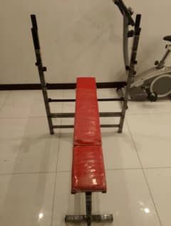 Bench press with barbell and dumbell weights