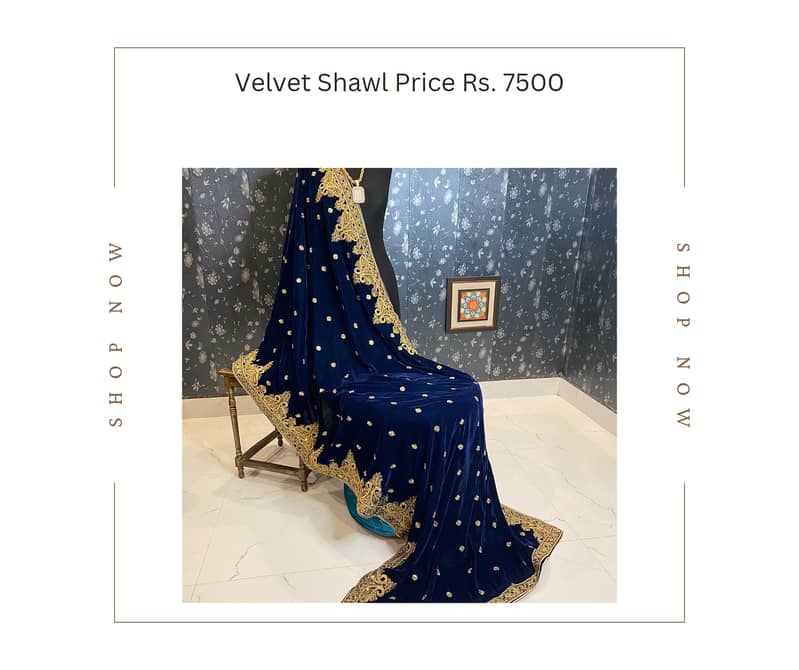 Luxury Velvet Collection with Shawls 11