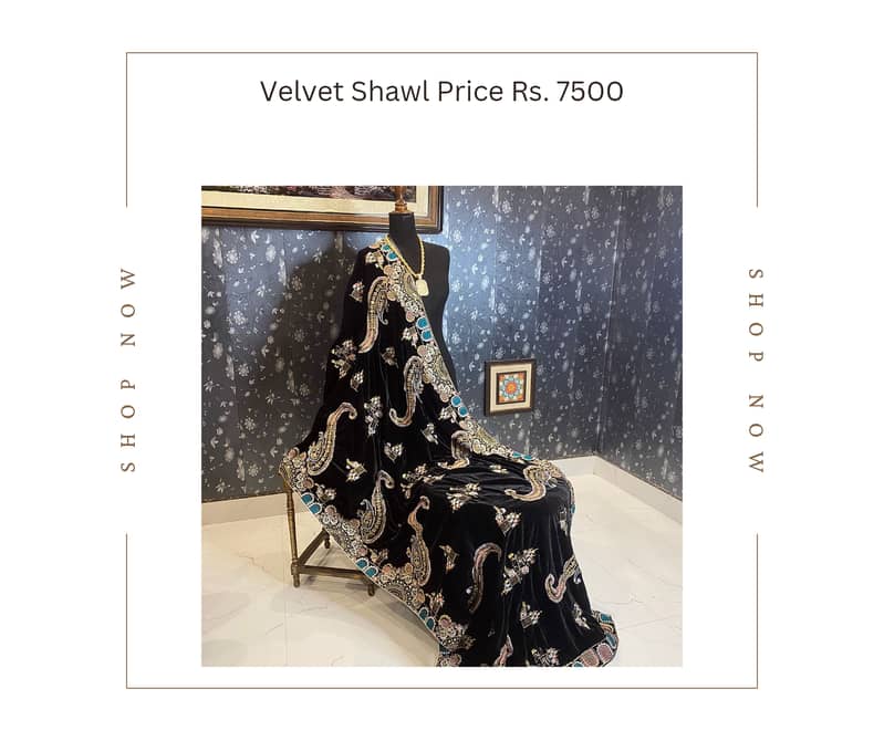 Luxury Velvet Collection with Shawls 13