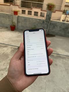 iphone xr factory unlock 128 gb