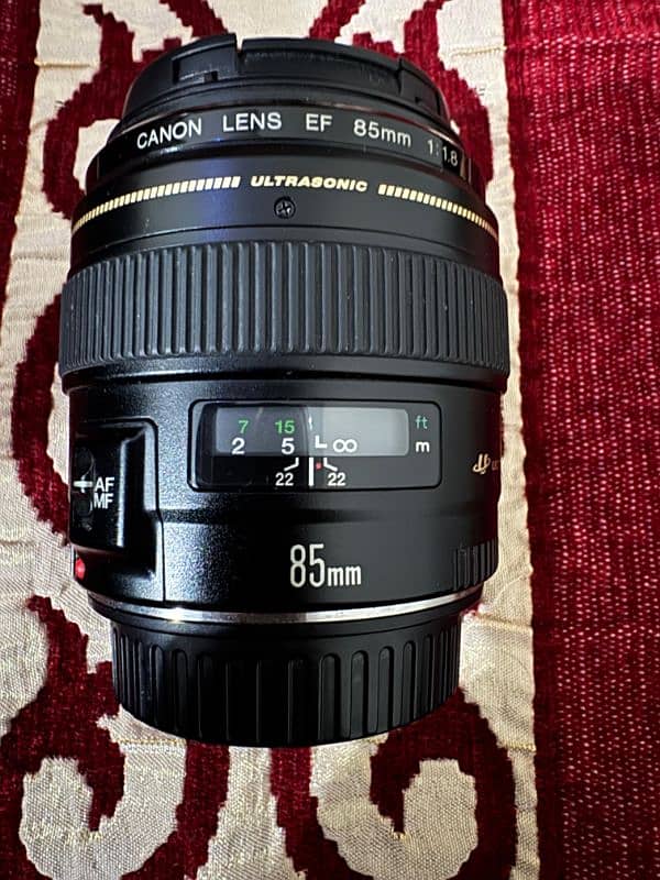 Canon EOS 6D mark II with 85mm f1.8 lens 3