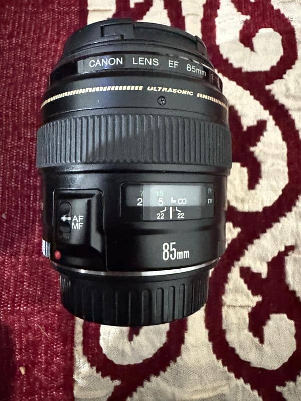 Canon EOS 6D mark II with 85mm f1.8 lens 4