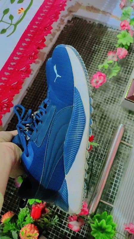 Puma sport size "41" 7